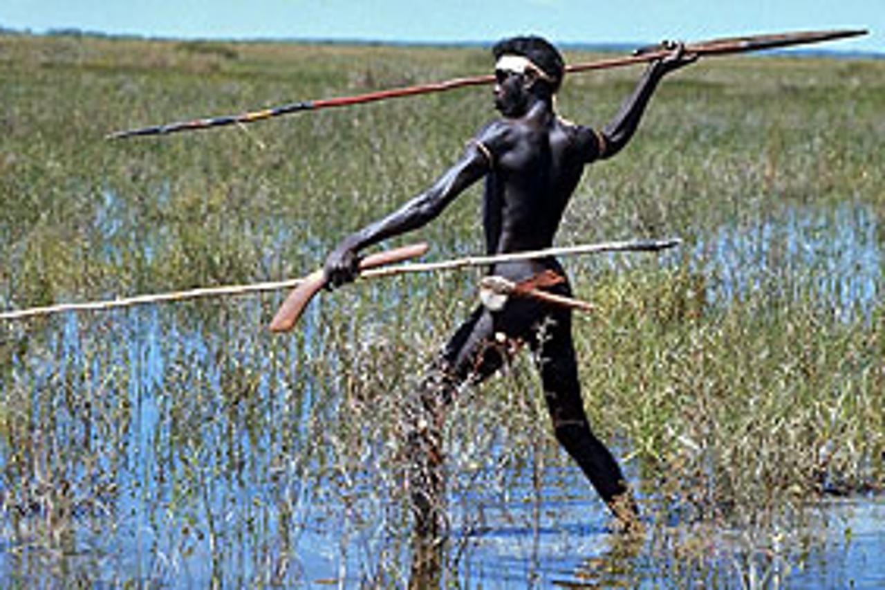 aborigini311.jpg
