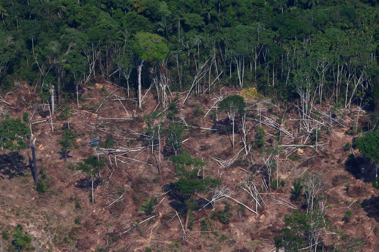 FILE PHOTO: A deforested and burnt plot is seen in Jamanxim National Forest in the Amazon, near Novo Progresso