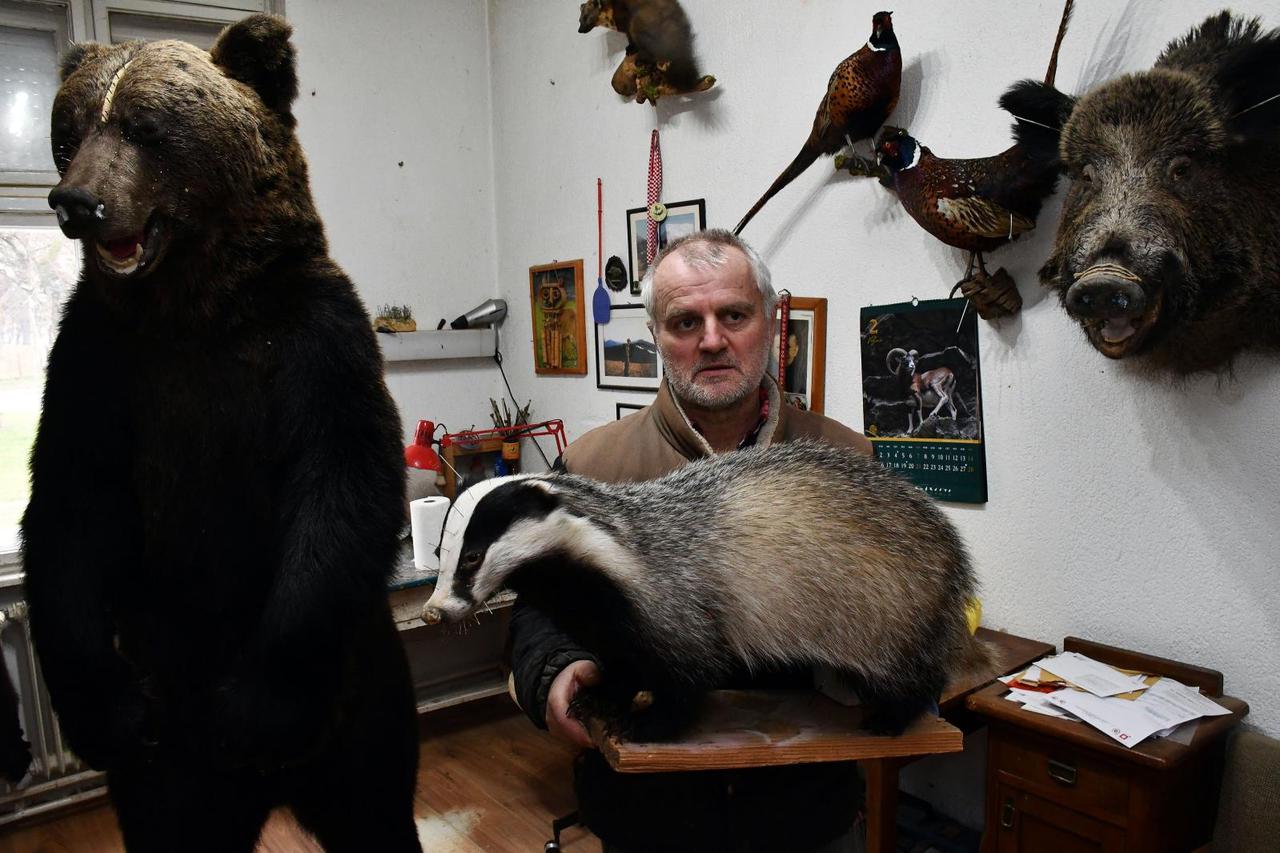Slavonski Brod - Brođanin Nino Frančeski bavi se prepariranjem životinja.