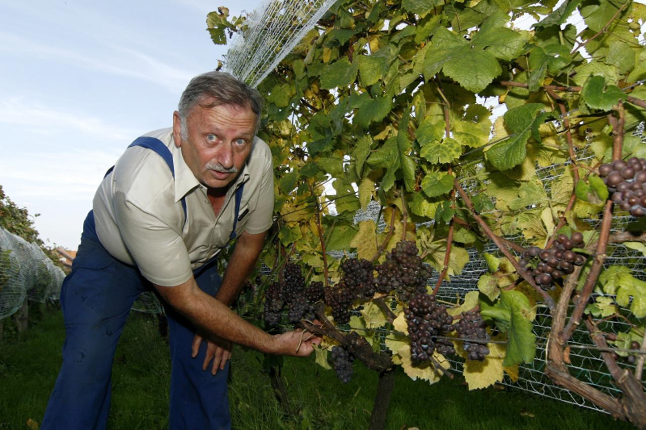 \'14.09.2010., Koprivnica - Zlatko Sonensajn, jedan od najpoznatijih vinogradara na koprivnickom podrucju, do sada je osvojio vise od 100 medalja te isto toliko drugih priznanja za kvalitetu svojih vi
