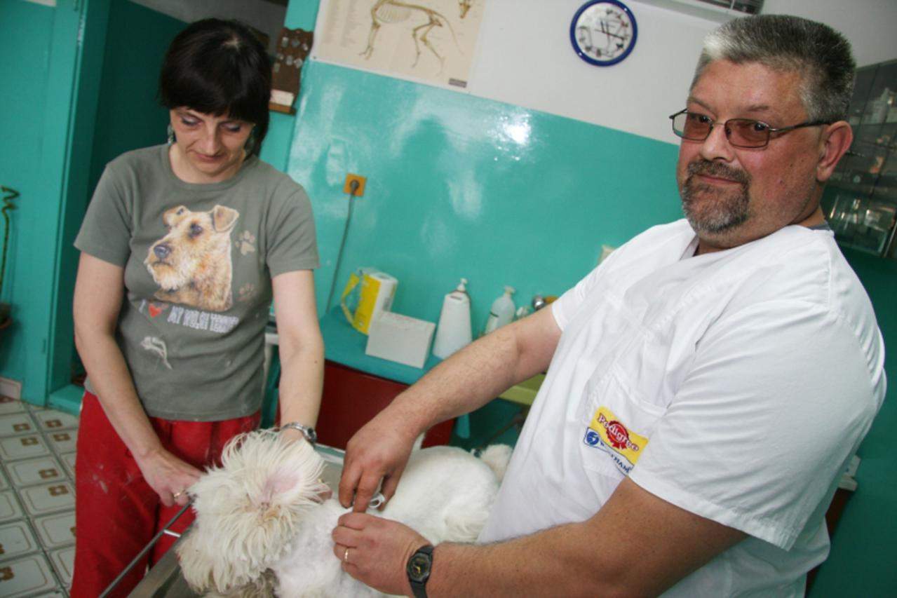 '15.06.2010.,Karlovac- Veterinar Danijel Bulat stavlja mikrocip u psa u svojoj veterinarskoj radnji. Dominik Grguric/PIXSELL'