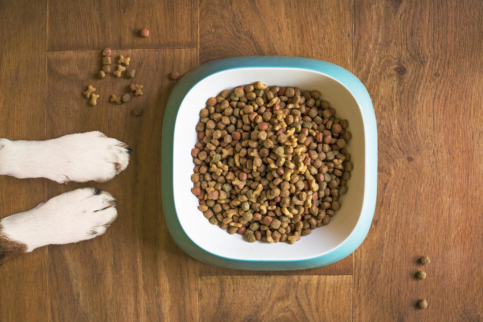11. Postoje i ljudi koji isprobavaju hranu za pse. Naime, njih unajmljuju tvrtke koje se bave hranom za kućne ljubimce kako bi testirali kvalitetu njihovih proizvoda. Hranu obično ispljunu nakon što je kušaju.