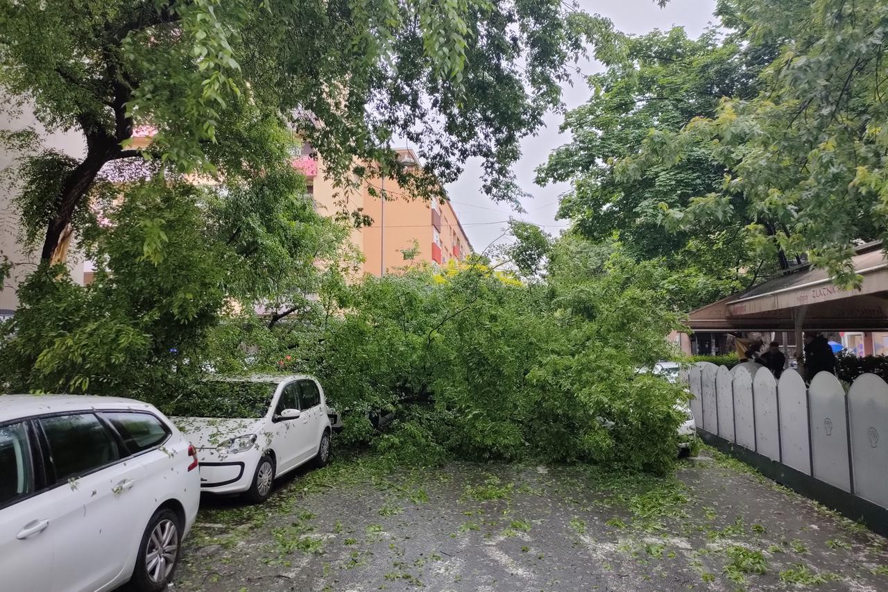 Zagreb: Srušilo se stablo na automobil u Marti?evoj ulici