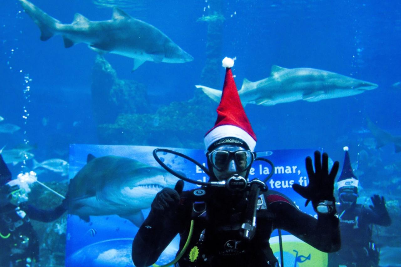 'FC Barcelona\'s player Bojan Krkic from Spain dives under water with sharks to wish a Merry Christmas at the Aquarium in Barcelona on December 23, 2009. AFP PHOTO/JOSEP LAGO.'