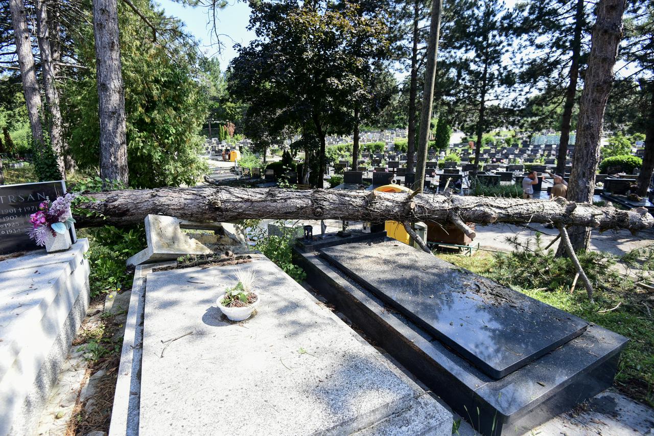 Zagreb: Olujno nevrijeme poharalo Mirogoj, stabala padala po grobovima