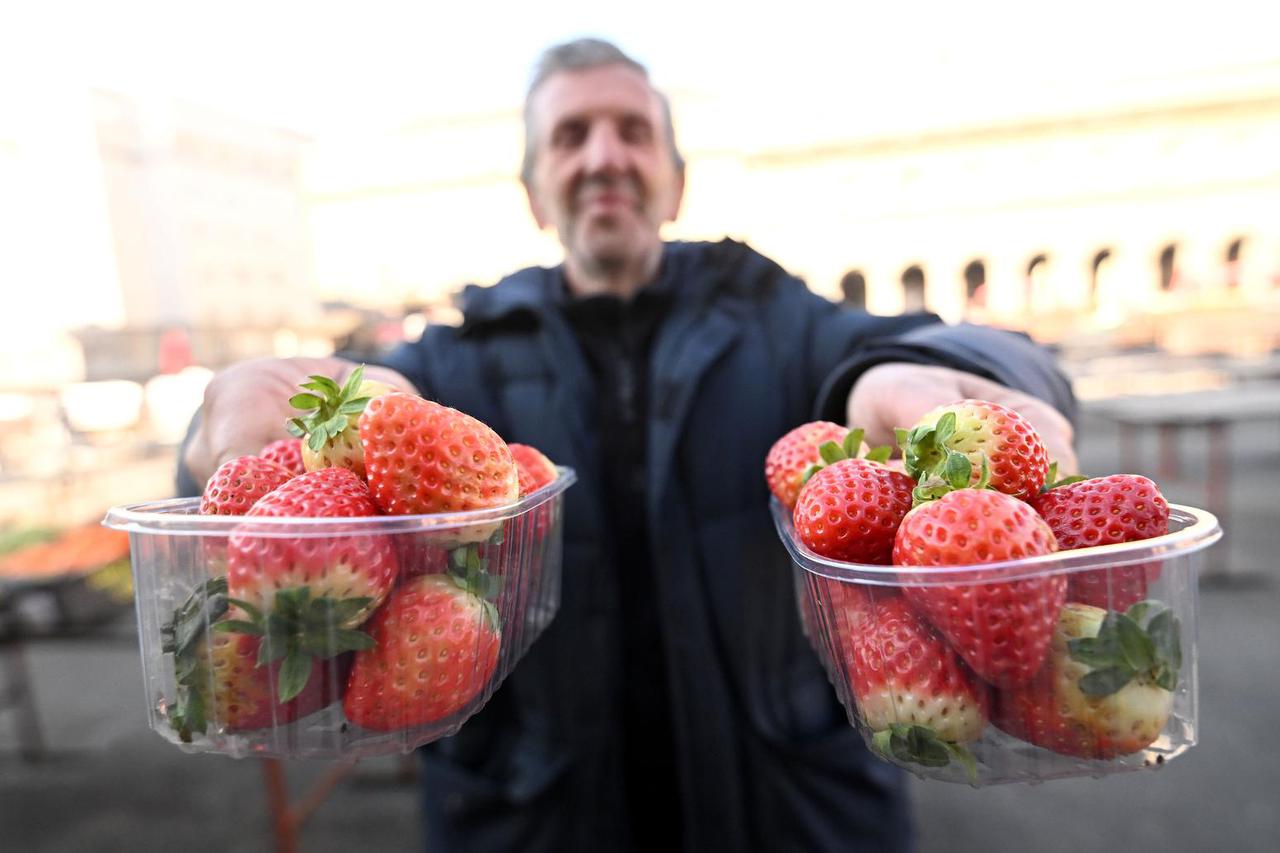 Zagreb: Mjerica jagoda na tržnici Dolac po cijeni od jednog eura