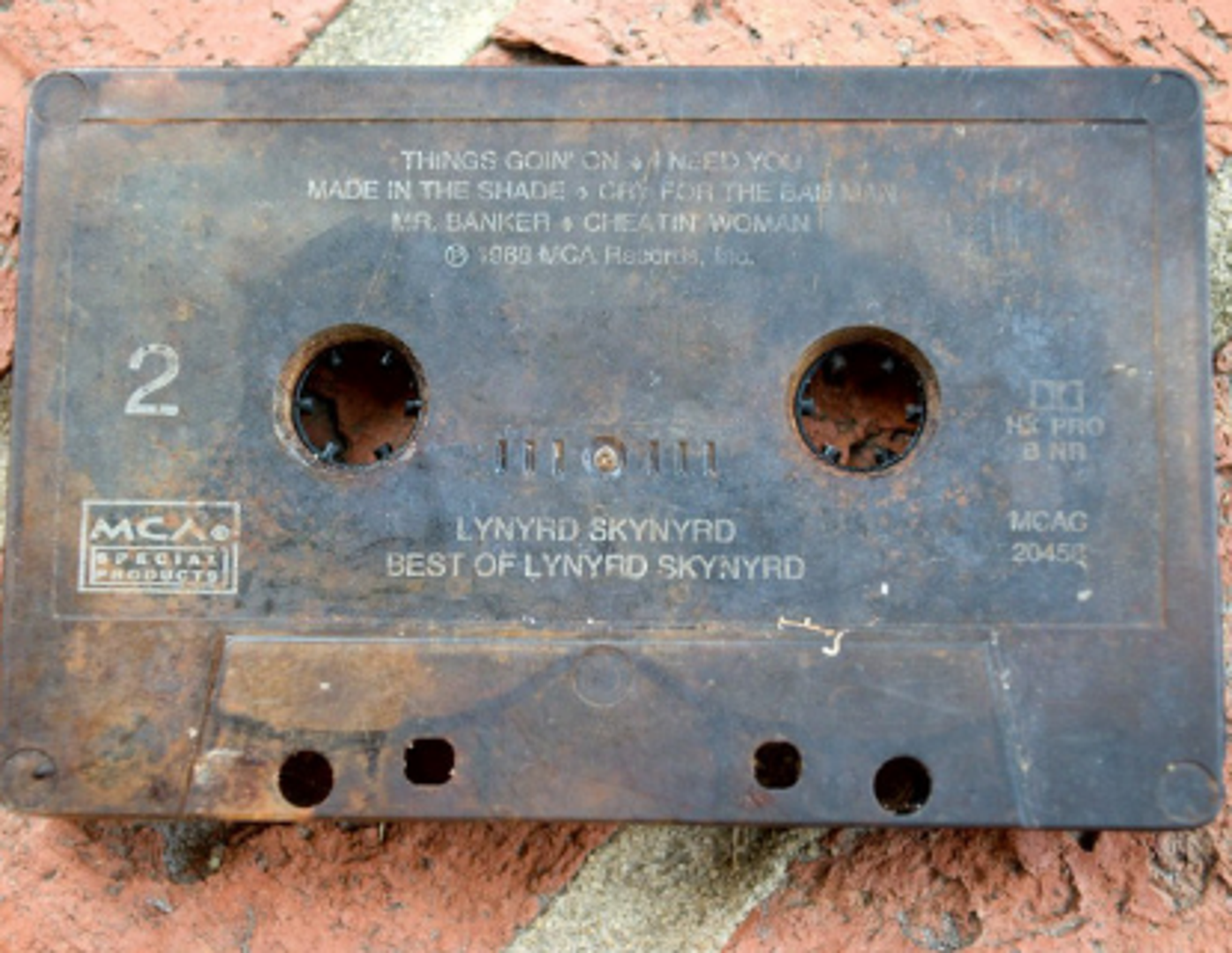 Djeca su pronašla ovu Lynyrd Skynyrd kazetu u potoku i pitala je li to iz građanskog rata.
