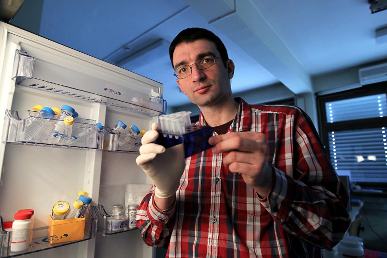 '14.02.2011., Zagreb - Tomislav Domazet Loso, geneticar koji radi na Institutu Rudjer Boskovic. Photo: Antonio Bronic/PIXSELL'