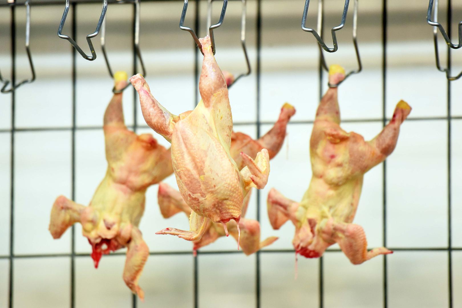 2. PILETINA – Mnogi misle da će pranjem piletine prije kuhanja riješiti problem bakterija, no time ih samo šire na ruke i kuhinjsku radnu površinu zbog prskanja vode. 