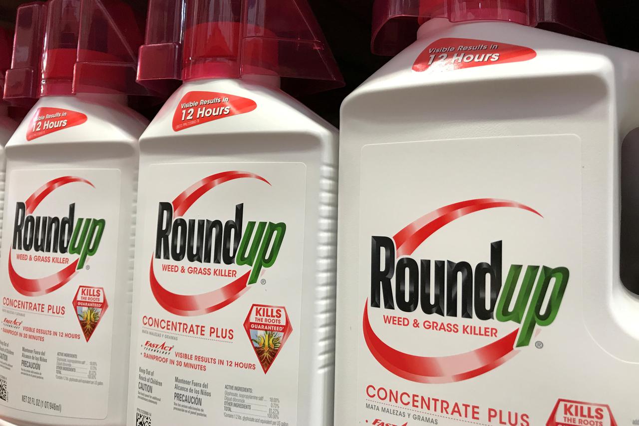 FILE PHOTO: Bayer unit Monsanto Co's Roundup shown for sale in California