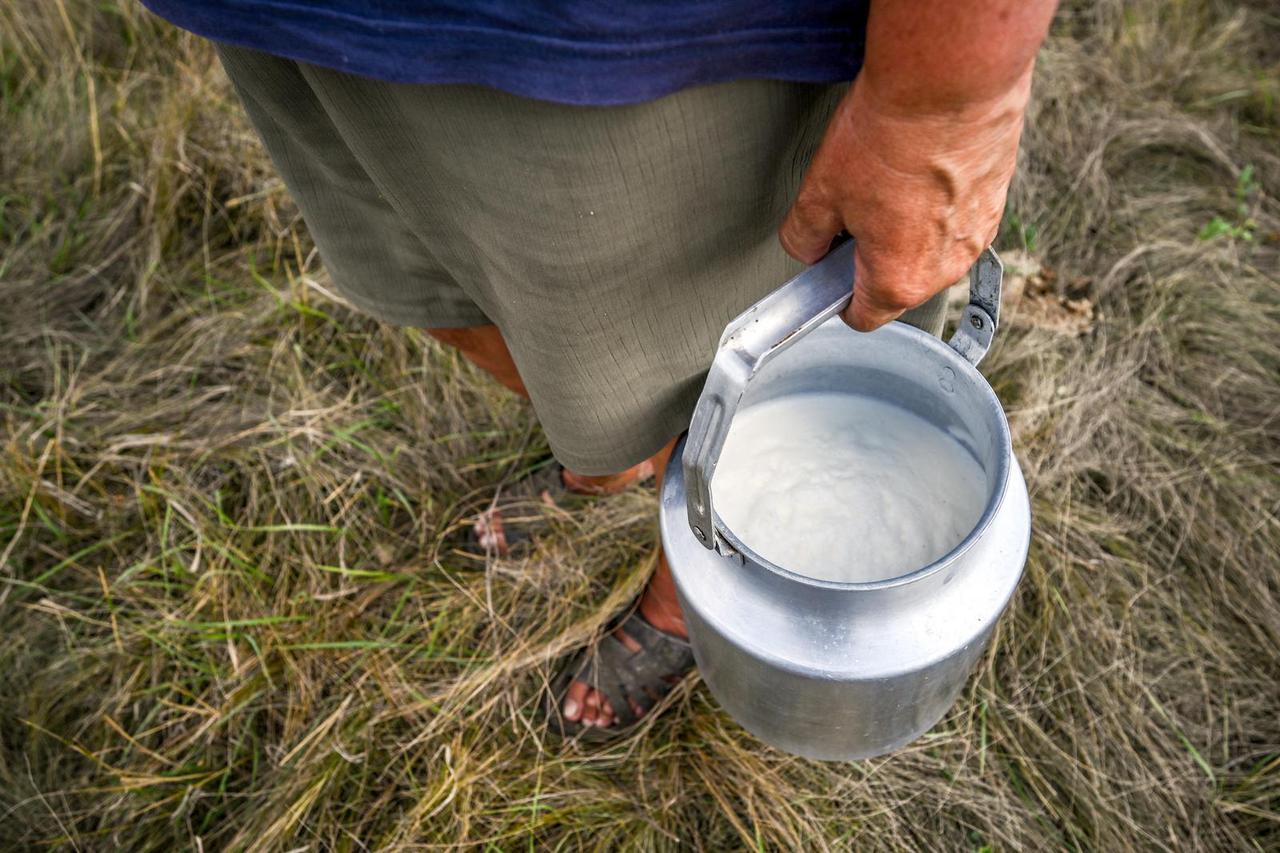 Farmers Provide Free Dairy Products To The Ukrainian Military - Ukraine