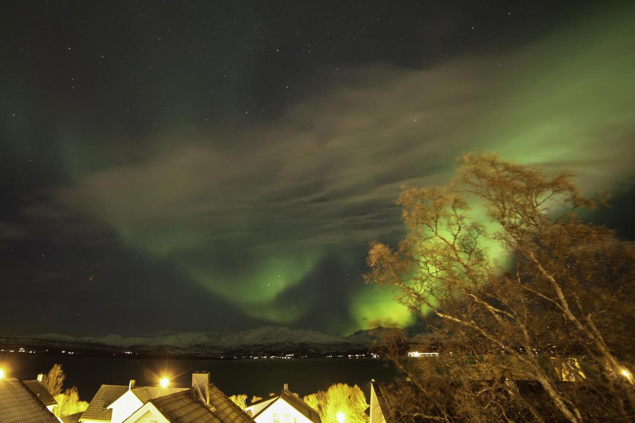 Polarna svjetlost na norveškom nebu
