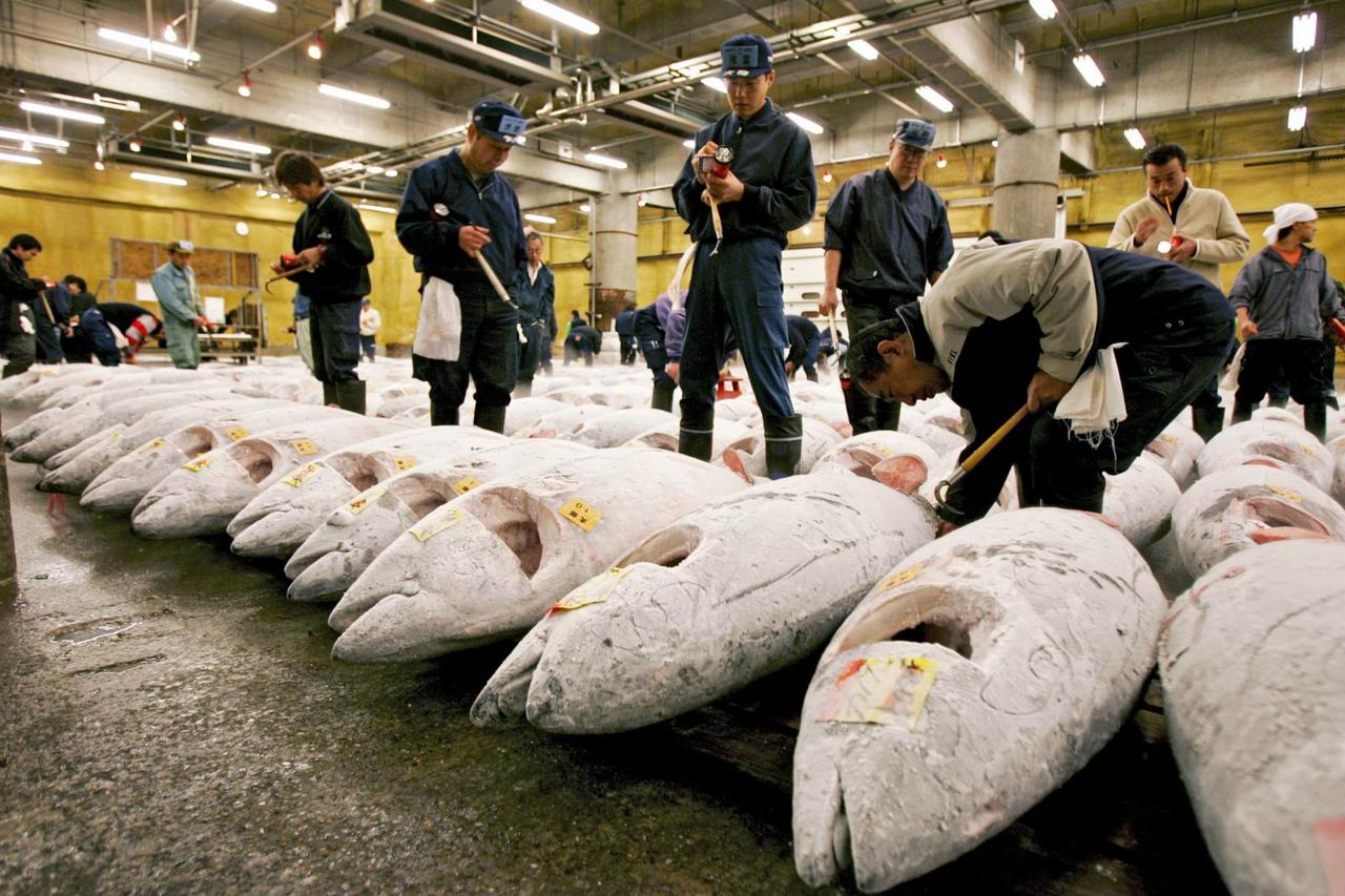 Tržnica ribe u Japanu