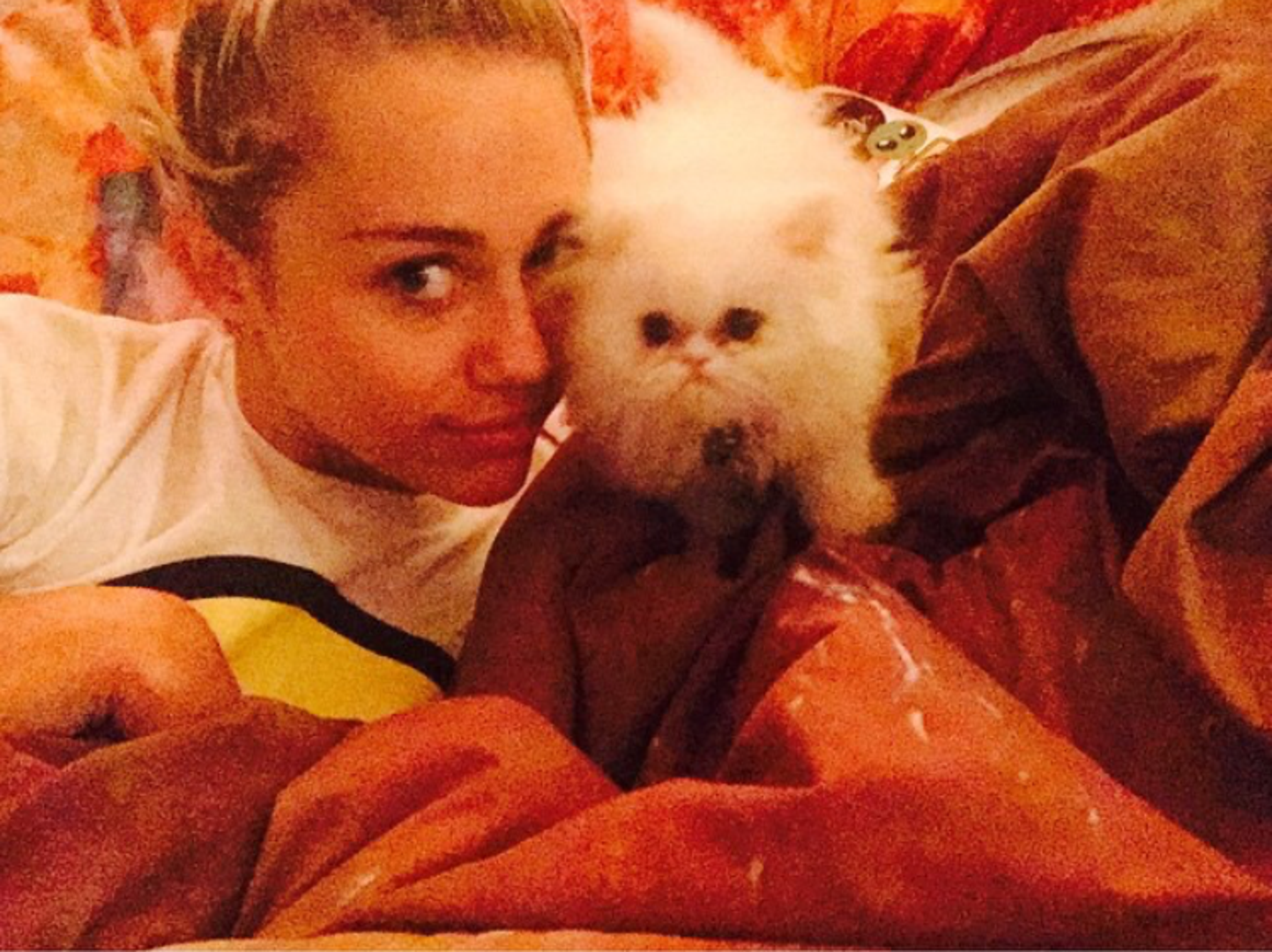 Miley Cyrus ima nekoliko kućnih ljubimaca, svinju, nekoliko pasa i mačku Shanti kojoj je otvorila Instagram profil na kojem je prati 108 tisuća obožavatelja.