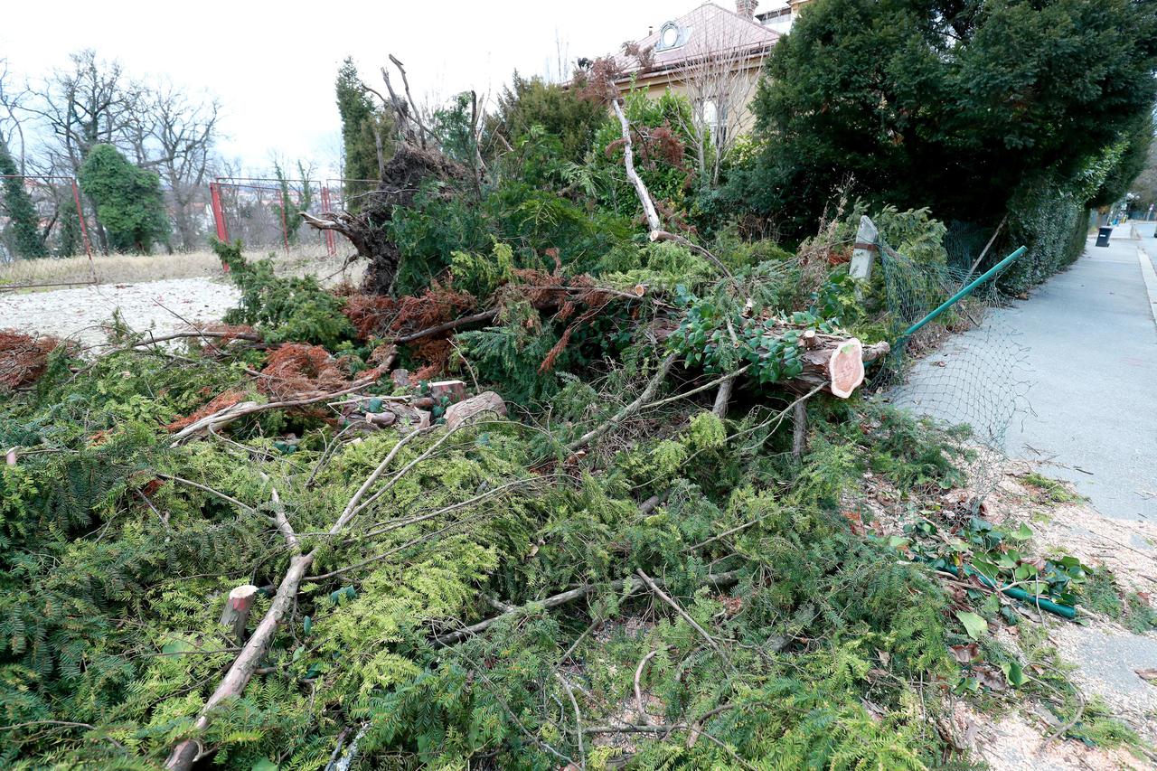 Zagreb: Vjetar iščupao stablo koje je oštetilo ogradu
