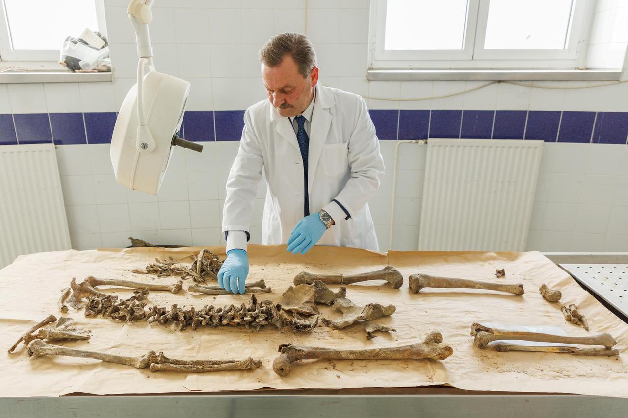 PhD Professor Milovan Kubat inspect human remains in the Forensic Identification Center in Zagreb