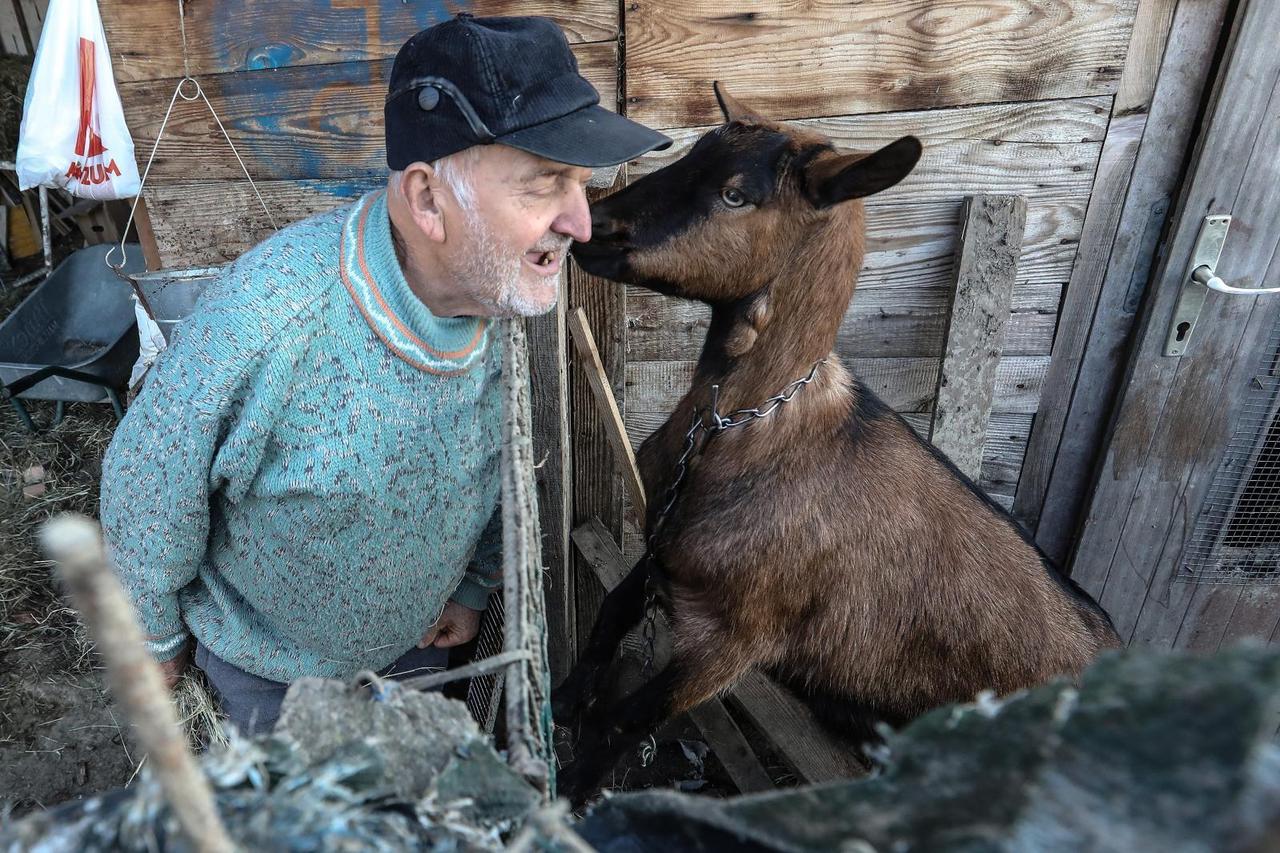 Pronađena nestala koza Kika, kućni ljubimac Stjepana Martineza