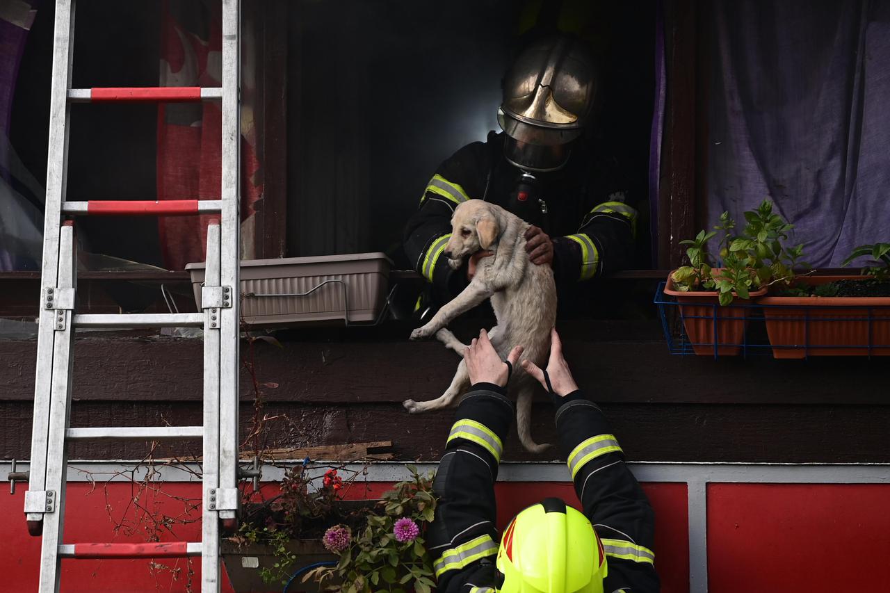Požar na Peščenici, gori zgrada, spašeni baka i pas 
