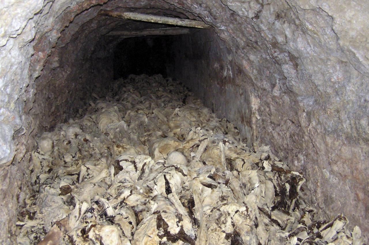 'REFILE - ADDING RESTRICTIONS  Human remains are seen in a mining shaft in Huda Jama, near Lasko, March 9 ,2009. Remains of victims, believed to have been killed after World War II, were found in the 