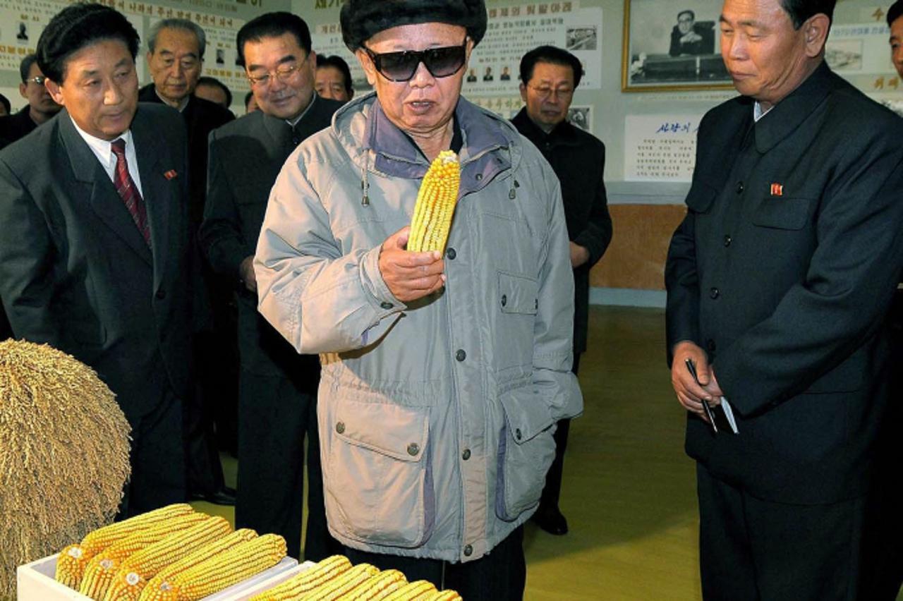 'This undated photo released by North Korea\'s official Korean Central News Agency (KCNA) on November 8, 2009 shows North Korean leader Kim Jong-Il (C) visiting the Tongbong Co-op Farm at Hamju County