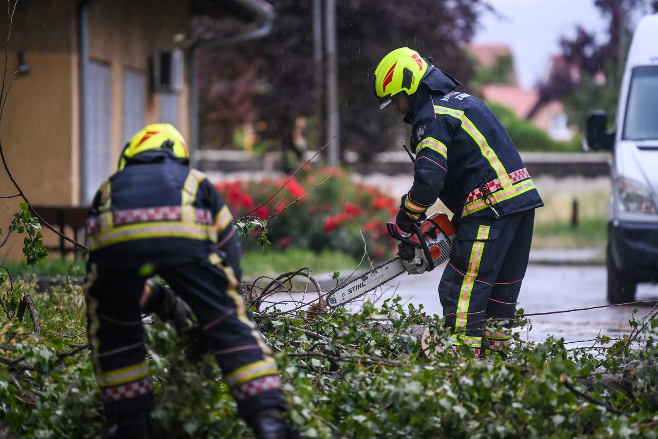 Zagreb: Vatrogasci u akciji nakon pada stabla na automobile