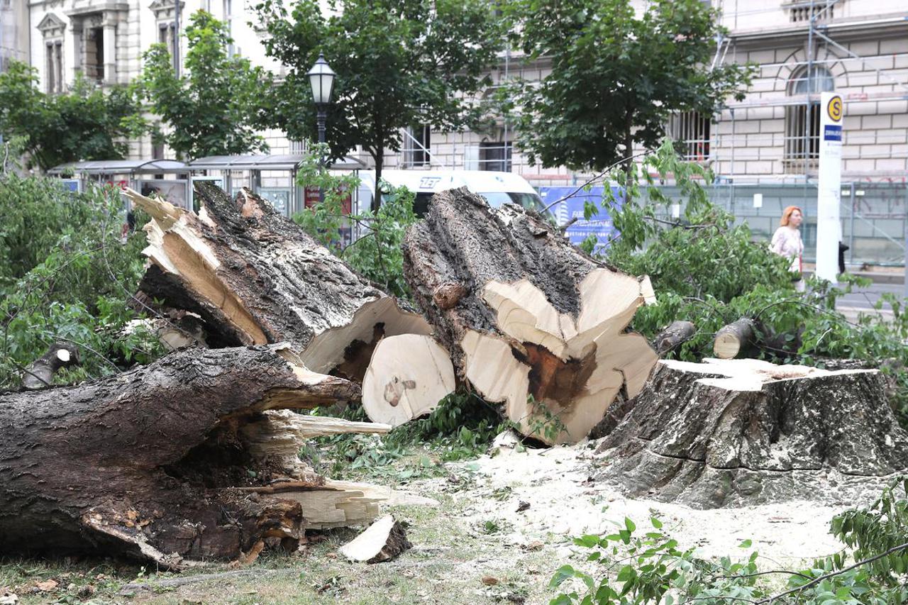 Zagreb: Odvoz velikog broja srušenih stabala problem je za žurne službe