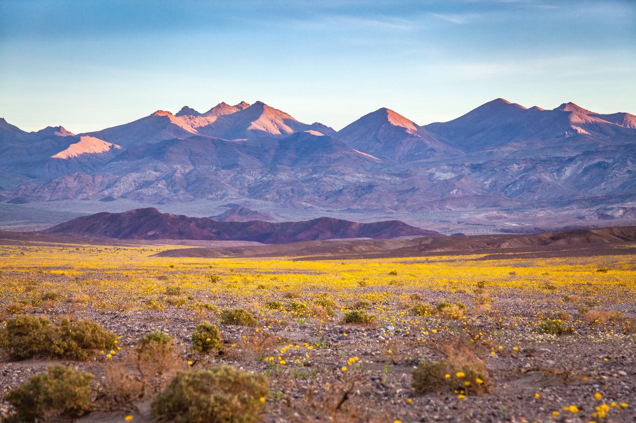 pustinja Mojave