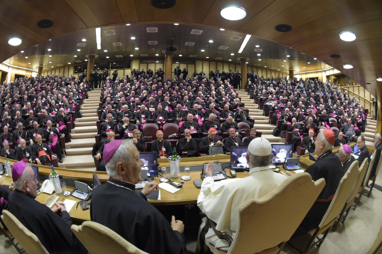 Biskupska sinoda