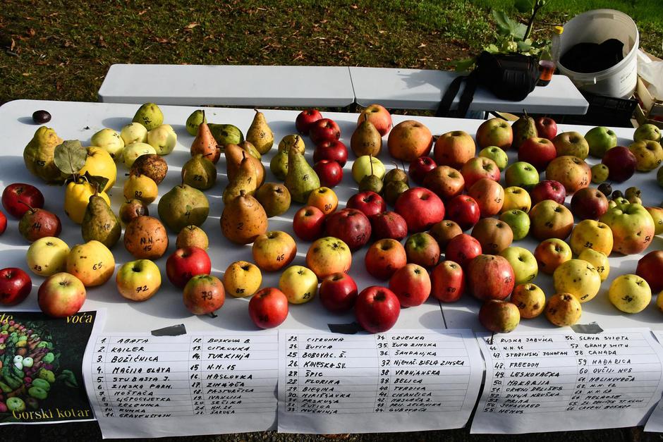 Cernik: Izložba plodova i prerađevina starih sorti voća i povrća "Sačuvajmo stare sorte"