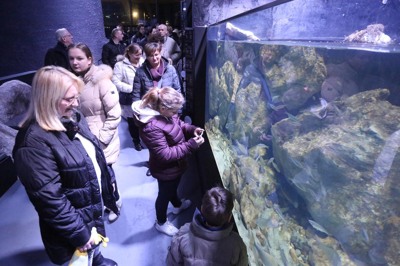 27.01.2017., Karlovac - Noc muzeja privukla je brojne gradjane u karlovacke muzeje.  Aquatika - Slatkovodni akvarij.  Photo: Kristina Stedul Fabac/PIXSELL