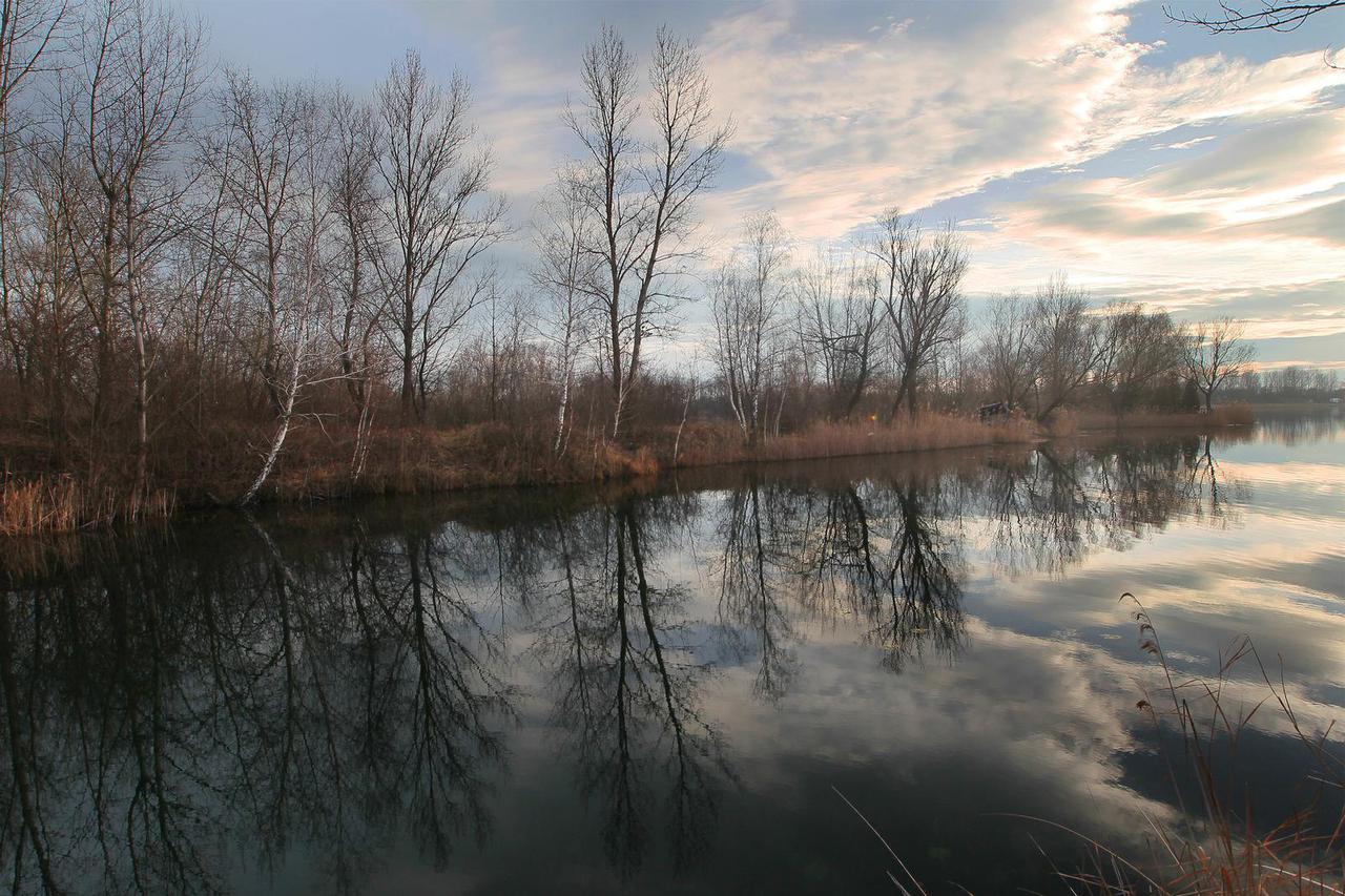 Koprivnica: Netaknuta priroda uz tok rijeke Drave