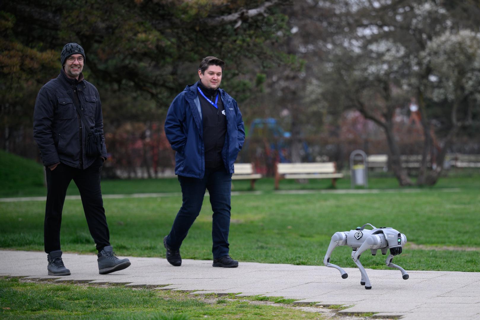 07.03.2024., Velika Gorica -  Milan Rajcevic, vlasnik i direktor tvrtke Notum Robotics sa suradnikom Ivanom Batinicem prosetao je Parkom dr. Franje Tudjmana u velikoj Gorici u drustvu robota psa. Za robota su podjednako bili zainteresirani prolaznici i njihovi ljubimci psi. Robot pas je komercijalni proizvod koji se radi po narudjbi, a ono sto je kod njega interesantno i unikatno su softverska rijesenja. Poanta je da ta platforma bude autonomna, bez ljudske intervencije i sa minimalnim odrzavanjem izvrsava zadatke prema svojem programu, da se snalazi u nepoznatim okolnostima, po nepoznatom terenu. Primjene su neogranicene, od sigurnosnih primjena, sluzbe spasavanja, nadzora te interakcije i edukacije. Puni se do 24 sata zbog tehnologije baterije i moze raditi do 3 sata, a trcati moze brzinom do 20 km/h. Trenutno nije vodootporan ali s vremenom moze postati i vodootporan i vatrootporan za siri spektar primjena. Ivan Batinic, Milan Rajcevic.
 Photo: Davor Puklavec/PIXSELL