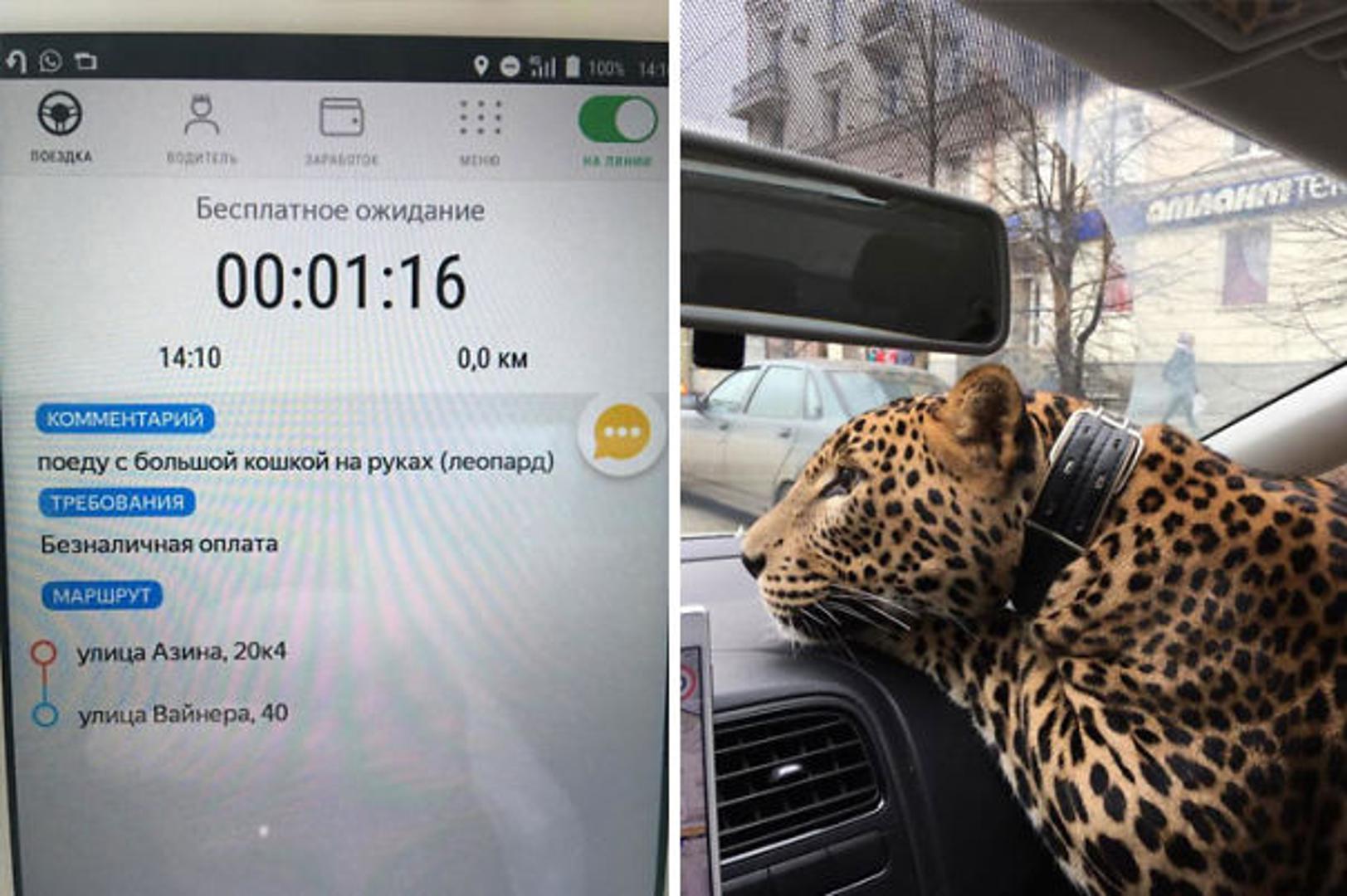 Ovaj je vozač u komentarima na aplikaciji napisao kako će s njim biti "mačka"... Mačka!!