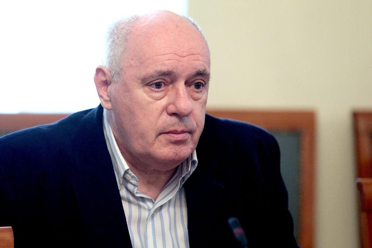 Žarko Puhovski, politički analitičar