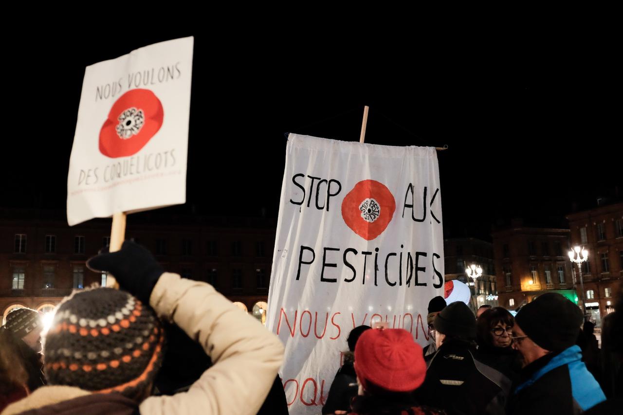 'We want our poppies back' Rally against pesticides - Toulouse