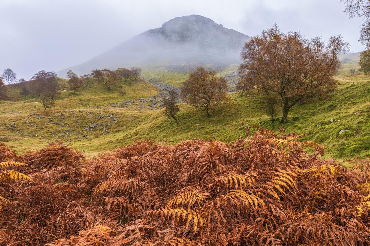 Autumn scenes across the Peak District National park with misty mountains rustic bracken and autumn trees in the mist near Buxton, Derbyshire